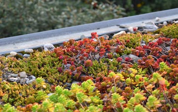 the cost of Frobost green roof installation